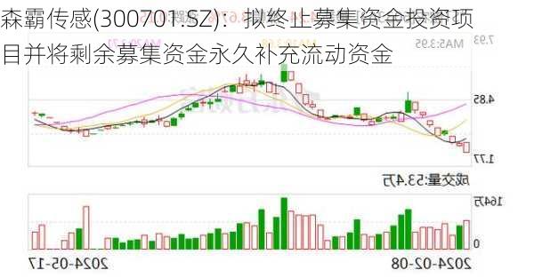 森霸传感(300701.SZ)：拟终止募集资金投资项目并将剩余募集资金永久补充流动资金