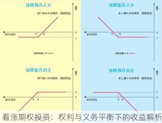 看涨期权投资：权利与义务平衡下的收益解析