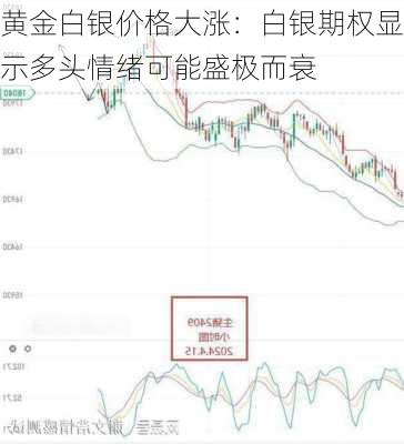 黄金白银价格大涨：白银期权显示多头情绪可能盛极而衰