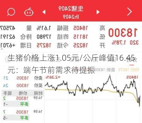 生猪价格上涨1.05元/公斤峰值16.45元：端午节前需求待提振