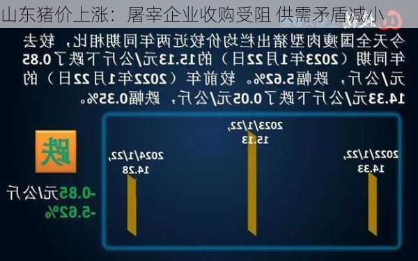 山东猪价上涨：屠宰企业收购受阻 供需矛盾减小