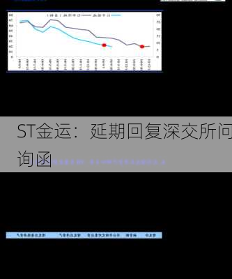 ST金运：延期回复深交所问询函