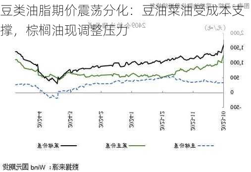 豆类油脂期价震荡分化：豆油菜油受成本支撑，棕榈油现调整压力