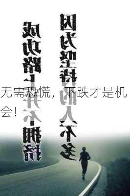 无需恐慌，下跌才是机会！