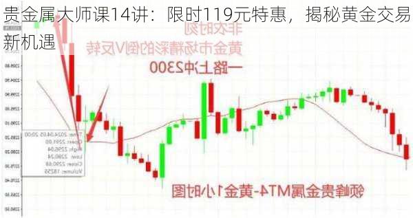 贵金属大师课14讲：限时119元特惠，揭秘黄金交易新机遇