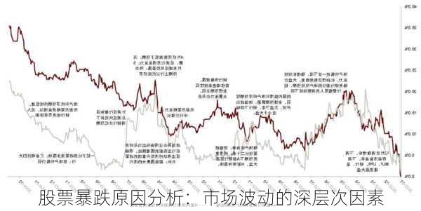 股票暴跌原因分析：市场波动的深层次因素