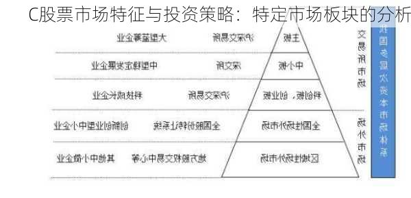 C股票市场特征与投资策略：特定市场板块的分析