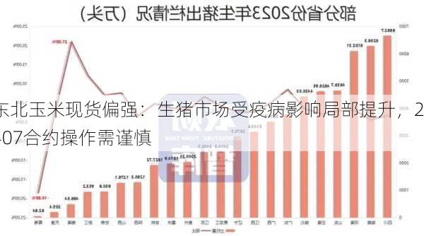 东北玉米现货偏强：生猪市场受疫病影响局部提升，2407合约操作需谨慎