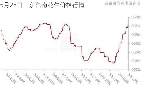 5月25日山东莒南花生价格行情
