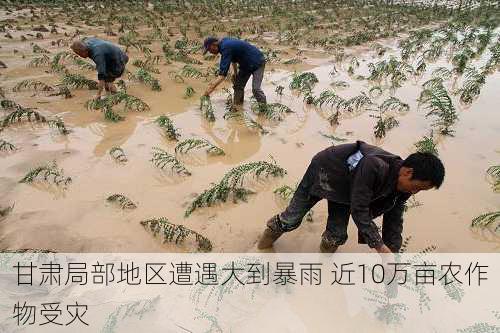 甘肃局部地区遭遇大到暴雨 近10万亩农作物受灾