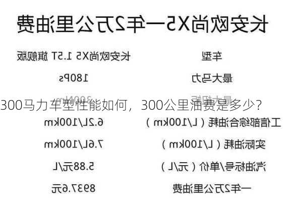 300马力车型性能如何，300公里油费是多少？