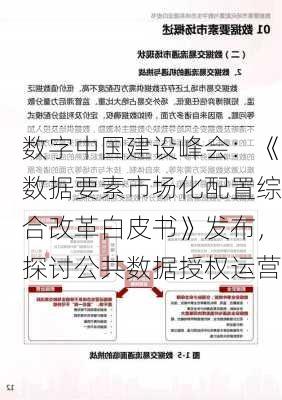 数字中国建设峰会：《数据要素市场化配置综合改革白皮书》发布，探讨公共数据授权运营