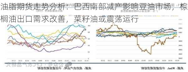 油脂期货走势分析：巴西南部减产影响豆油市场，棕榈油出口需求改善，菜籽油或震荡运行