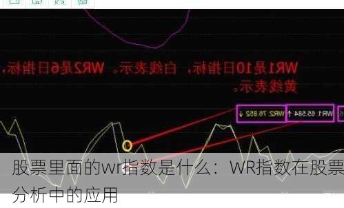 股票里面的wr指数是什么：WR指数在股票分析中的应用