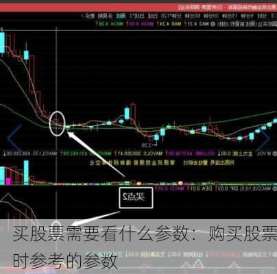 买股票需要看什么参数：购买股票时参考的参数