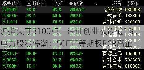 沪指失守3100点：深证创业板跌逾1%，电力股涨停潮；50ETF等期权PCR高企