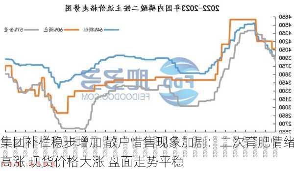 集团补栏稳步增加 散户惜售现象加剧：二次育肥情绪高涨 现货价格大涨 盘面走势平稳