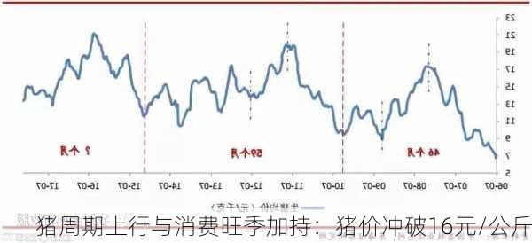 猪周期上行与消费旺季加持：猪价冲破16元/公斤