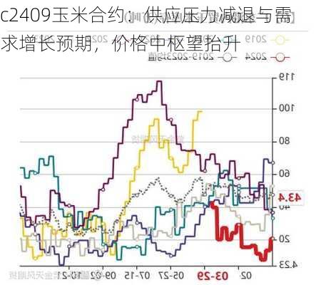 c2409玉米合约：供应压力减退与需求增长预期，价格中枢望抬升