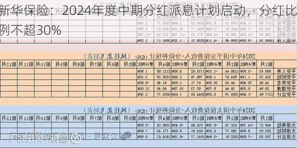 新华保险：2024年度中期分红派息计划启动，分红比例不超30%