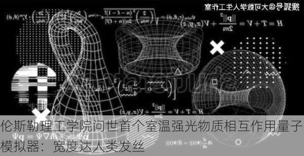 伦斯勒理工学院问世首个室温强光物质相互作用量子模拟器：宽度达人类发丝