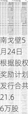 南戈壁5月24日根据股权奖励计划发行合共21.66万股