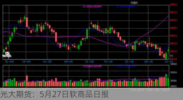 光大期货：5月27日软商品日报