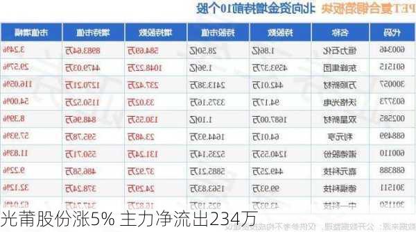 光莆股份涨5% 主力净流出234万