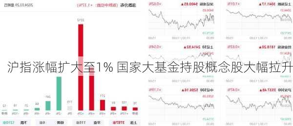 沪指涨幅扩大至1% 国家大基金持股概念股大幅拉升