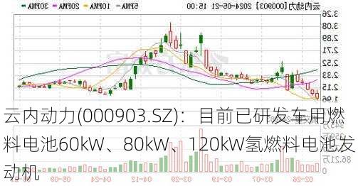 云内动力(000903.SZ)：目前已研发车用燃料电池60kW、80kW、120kW氢燃料电池发动机