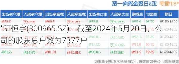 *ST恒宇(300965.SZ)：截至2024年5月20日，公司的股东总户数为7377户