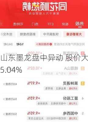 山东墨龙盘中异动 股价大跌5.04%