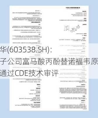 美诺华(603538.SH)：控股子公司富马酸丙酚替诺福韦原料药通过CDE技术审评