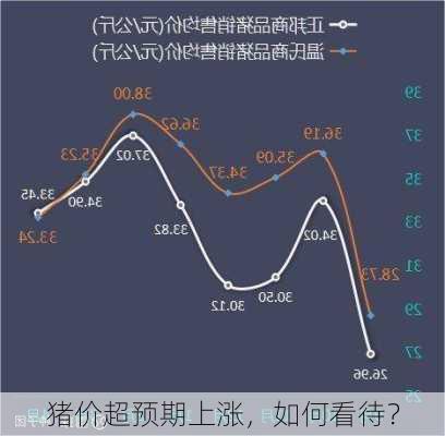 猪价超预期上涨，如何看待？