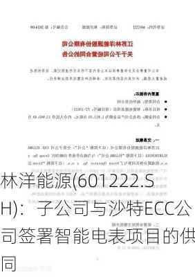 林洋能源(601222.SH)：子公司与沙特ECC公司签署智能电表项目的供货合同