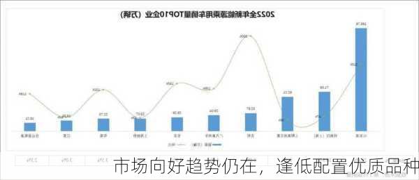 市场向好趋势仍在，逢低配置优质品种