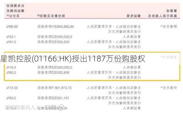 星凯控股(01166.HK)授出1187万份购股权