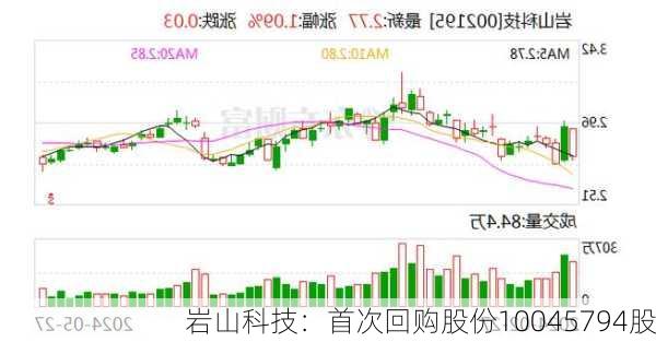 岩山科技：首次回购股份10045794股