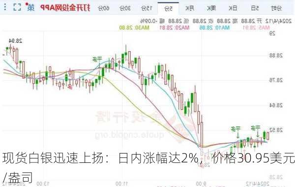 现货白银迅速上扬：日内涨幅达2%，价格30.95美元/盎司