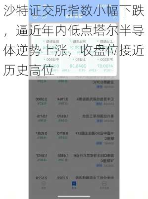 沙特证交所指数小幅下跌，逼近年内低点塔尔半导体逆势上涨，收盘位接近历史高位