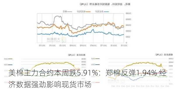 美棉主力合约本周跌5.91%：郑棉反弹1.94% 经济数据强劲影响现货市场