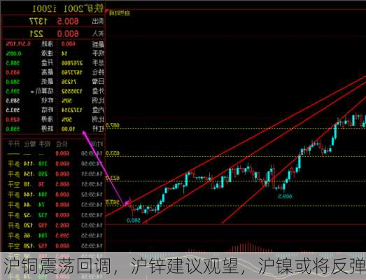 沪铜震荡回调，沪锌建议观望，沪镍或将反弹