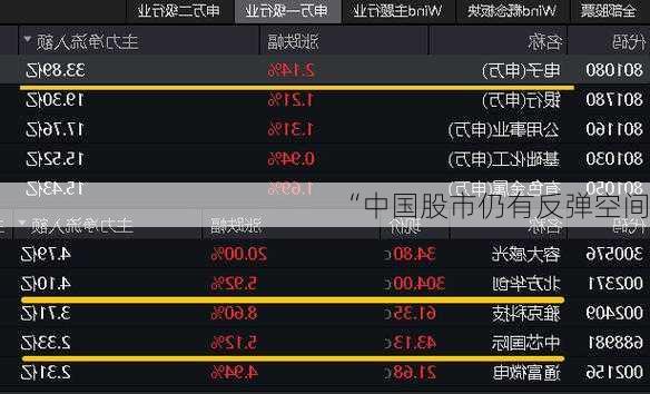“中国股市仍有反弹空间”