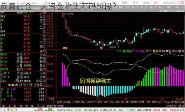 反复震仓！大资金收集筹码阶段？
