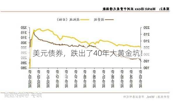 美元债券，跌出了40年大黄金坑！