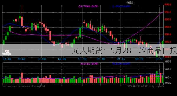 光大期货：5月28日软商品日报