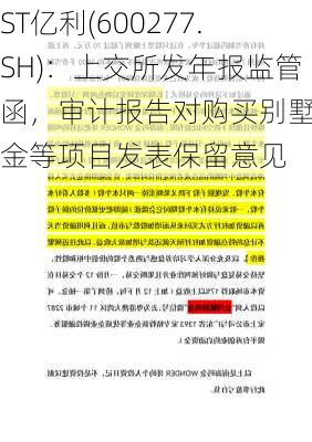 ST亿利(600277.SH)：上交所发年报监管函，审计报告对购买别墅定金等项目发表保留意见