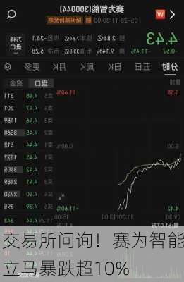 交易所问询！赛为智能立马暴跌超10%