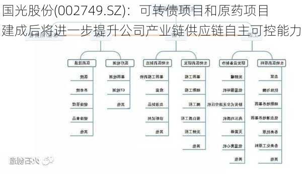 国光股份(002749.SZ)：可转债项目和原药项目建成后将进一步提升公司产业链供应链自主可控能力