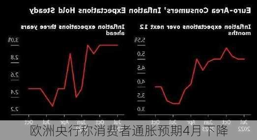 欧洲央行称消费者通胀预期4月下降